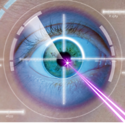 cornea