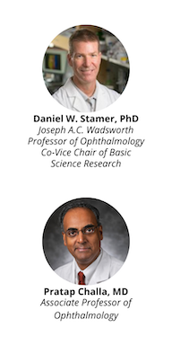 Daniel W. Stamer, PhD and Pratap Challa, MD