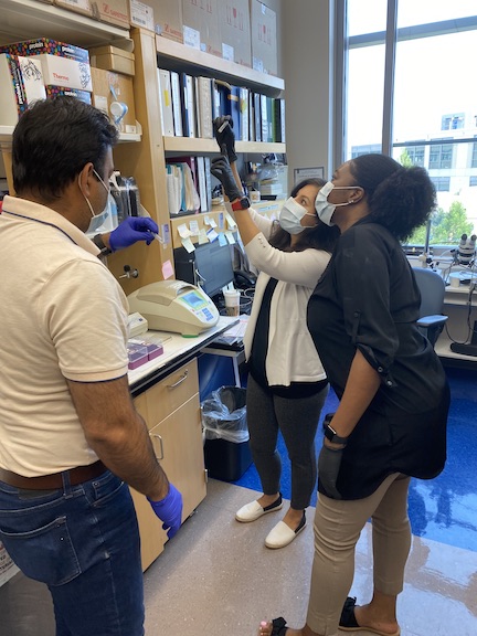 Adeleke learning about an experiment in the Malek lab.