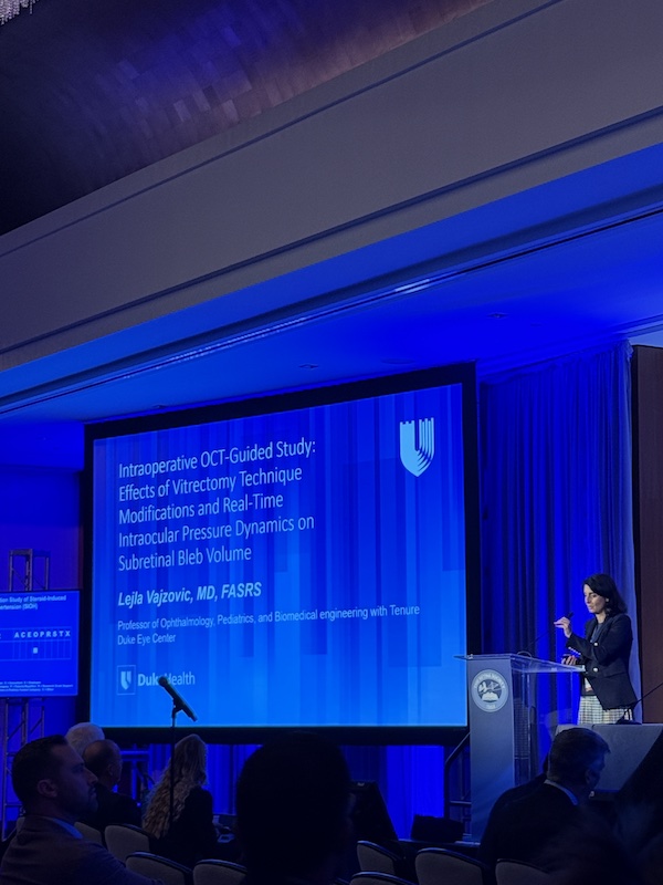 Vajzovic presenting