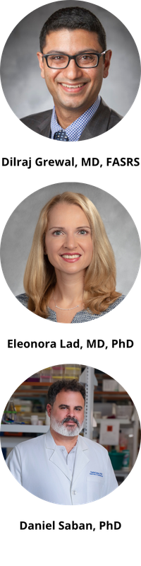 Researchers headsets