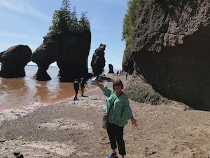 Hopewell rocks