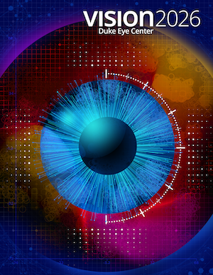 vision cover