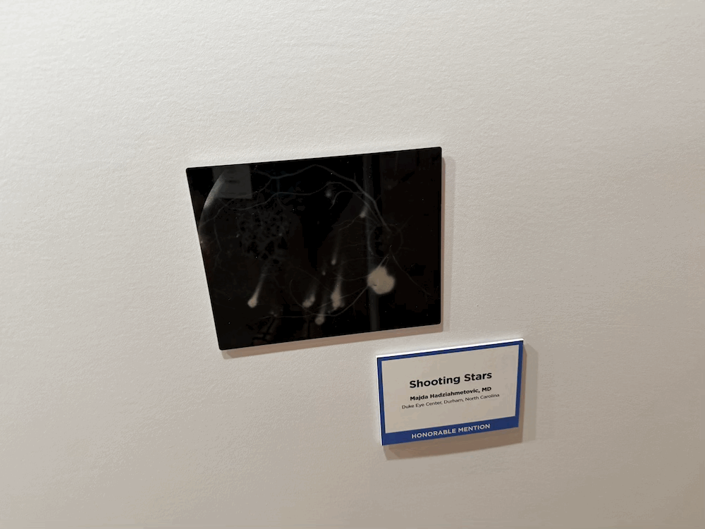 Dr. H photo award