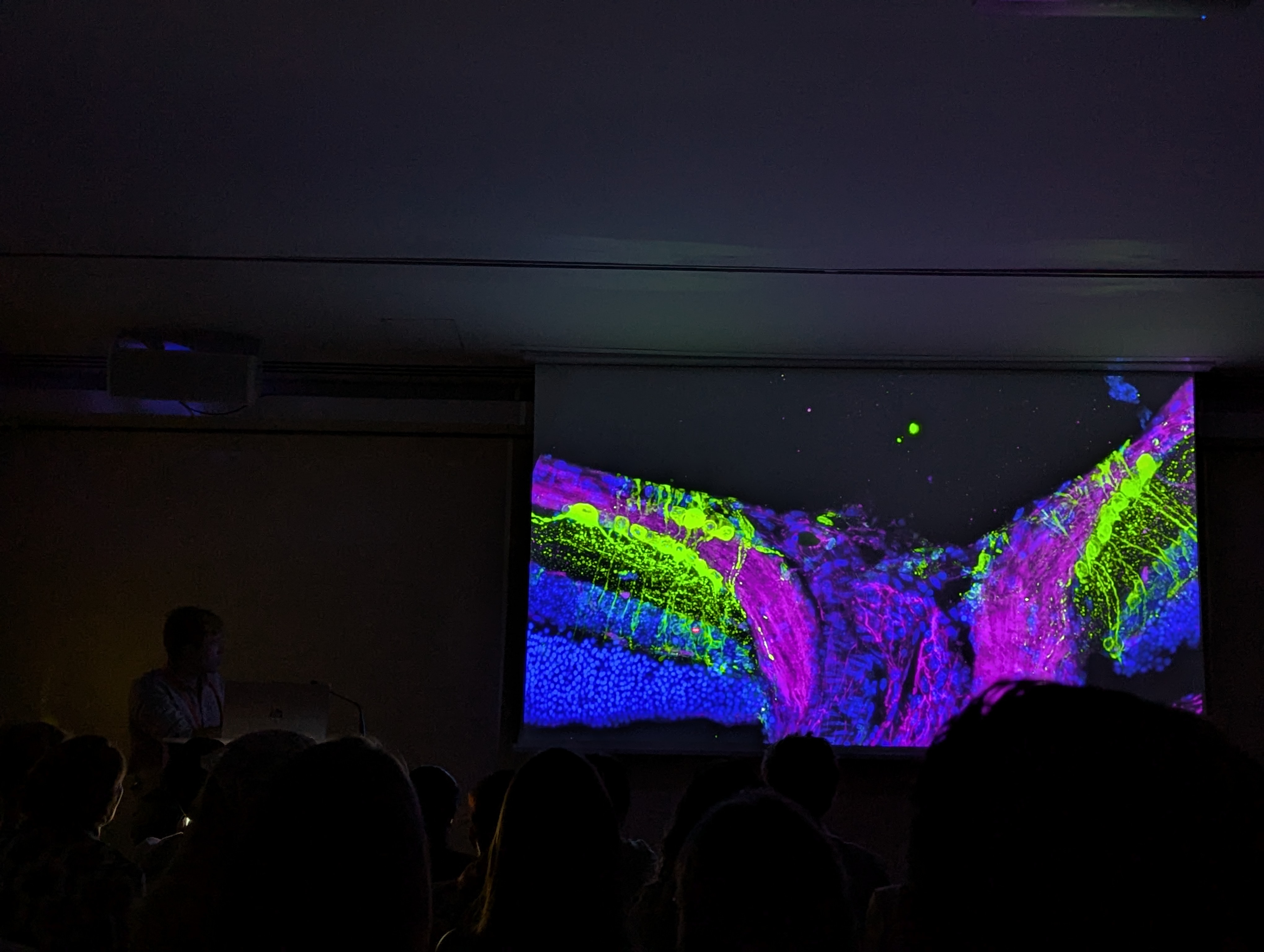 Kyle presenting at iser showing colorful image on screen