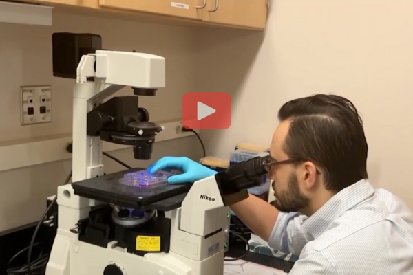 Dr. Aleskeev Interviewed by Bloom TV about Retinitis Pigmentosa Research