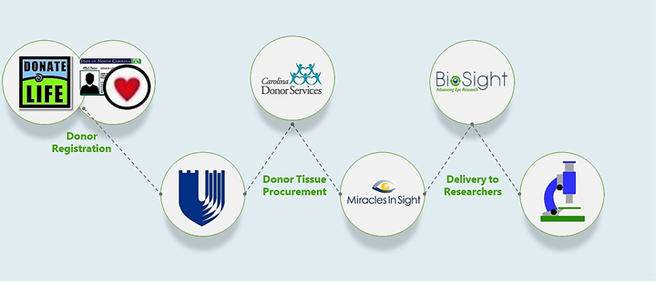 procurement process