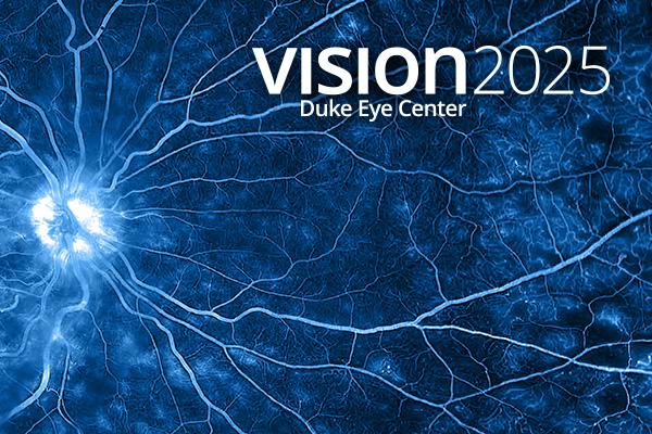 Vision