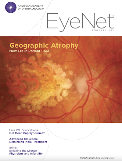 Eyenet cover