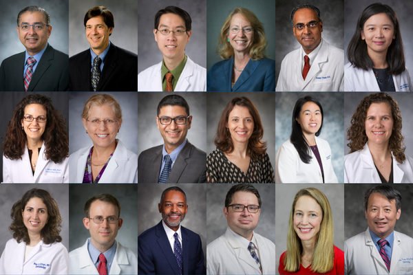 Faculty collage