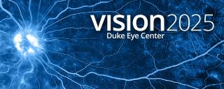 Vision 2025