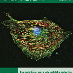 Journal cover